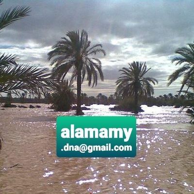 Dr.Dow. S .Alamamy♦IN36592♦YF016680♦